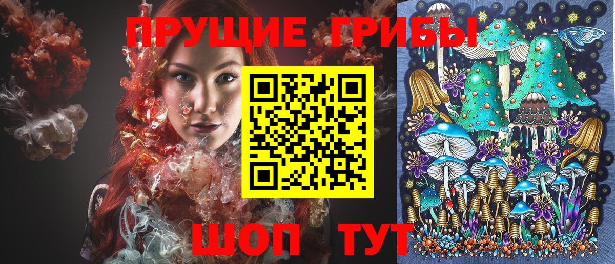 Галлюциногенные грибы Psilocybine cubensis  Галлюциногенные грибы Psilocybine cubensis  Вход с VPN  наркотики  Малгобек 